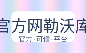开云平台官方网勒沃库森赞助商 配图