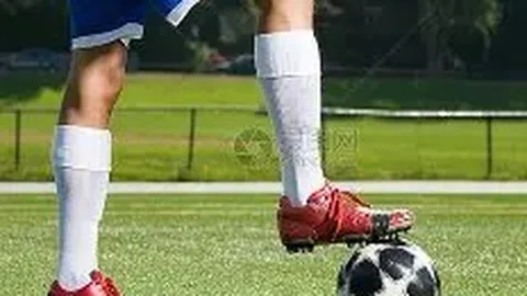 开云平台官方网勒沃库森赞助商 产品 101445 45h