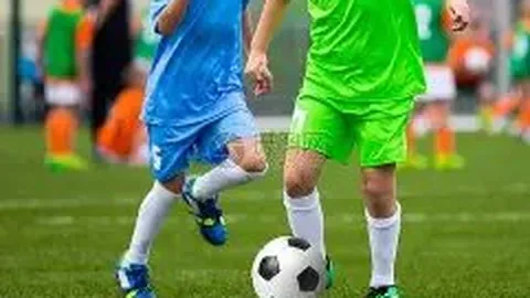 开云平台官方网勒沃库森赞助商 资讯 095535 s35