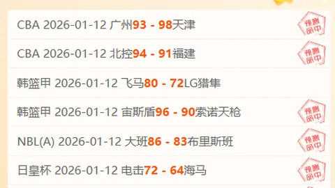大乐透期号专家质合分析：佩西加雅加达主场表现解析