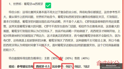开云平台官方网勒沃库森赞助商 115507 37
