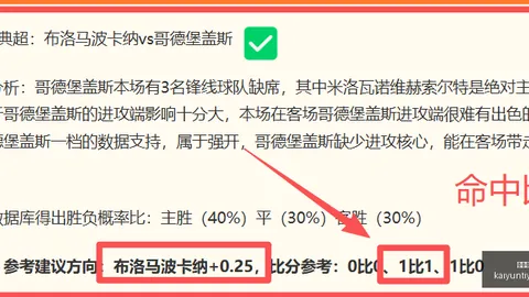开云平台官方网勒沃库森赞助商 122037 8